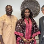Dabiri-Erewa Advocates Diaspora Investment in Africa's Future