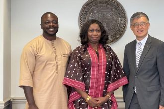 Dabiri-Erewa Advocates Diaspora Investment in Africa's Future