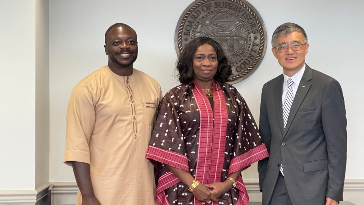 Dabiri-Erewa Advocates Diaspora Investment in Africa's Future