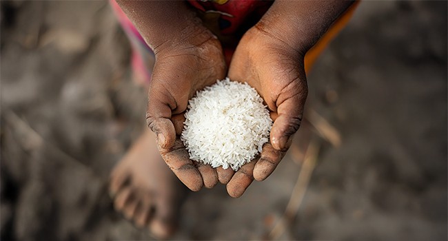 UN: Africa Becomes World’s Hunger Capital