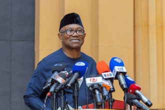 I Can’t Promise Nigerians 24-Hour Electricity In Four Years – Peter Obi