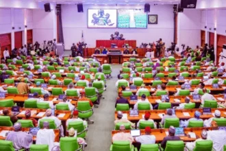 Reps Probe PFIPC as Accountant General Faces Lawmakers