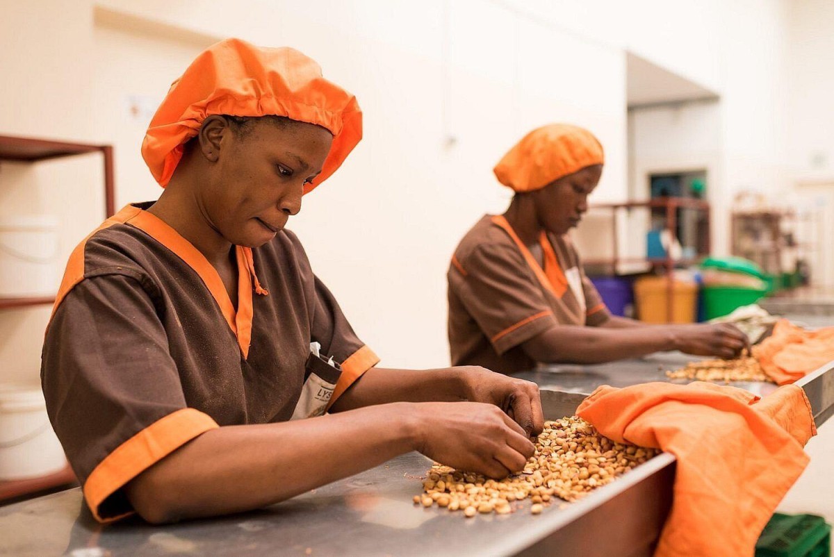 Why Africa Must Stop Exporting Raw Materials, Lessons From Benin for Nigeria