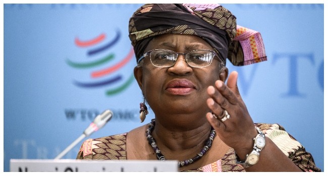 Africa Must Embrace AI, Clean Energy To Drive Future Growth — Okonjo-Iweala
