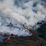 Spain Declares First National Emergency Over Wildfires