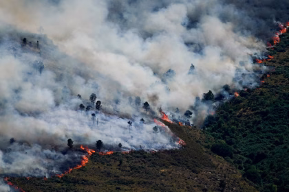 Spain Declares First National Emergency Over Wildfires