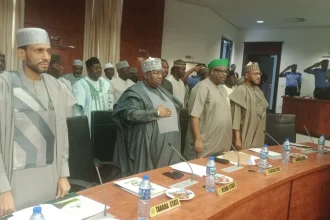 Northern Governors Launch Security Trust Fund