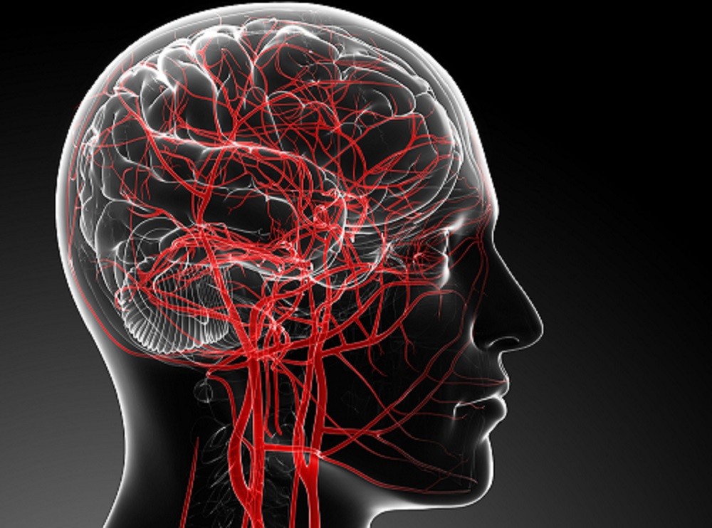 7 Early Warning Signs of Poor Blood Flow to the Brain