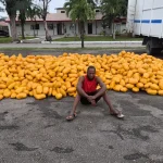 Troops Arrest Driver, Recover Suspected Illicit Drugs on Lagos-Calabar Road