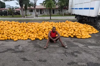 Troops Arrest Driver, Recover Suspected Illicit Drugs on Lagos-Calabar Road