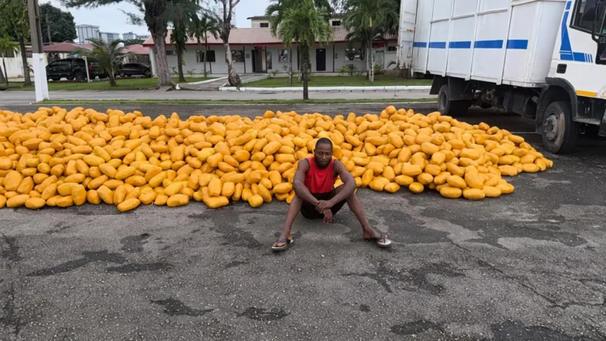 Troops Arrest Driver, Recover Suspected Illicit Drugs on Lagos-Calabar Road