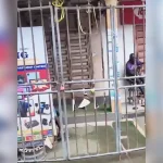 Computer Village Traders Shut Shops, Urge LIRS to Reopen Sealed Plazas