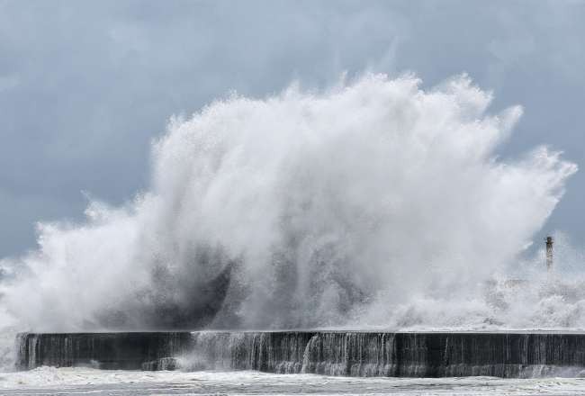 Typhoon Bavi kills 15, forces thousands to flee in Taiwan