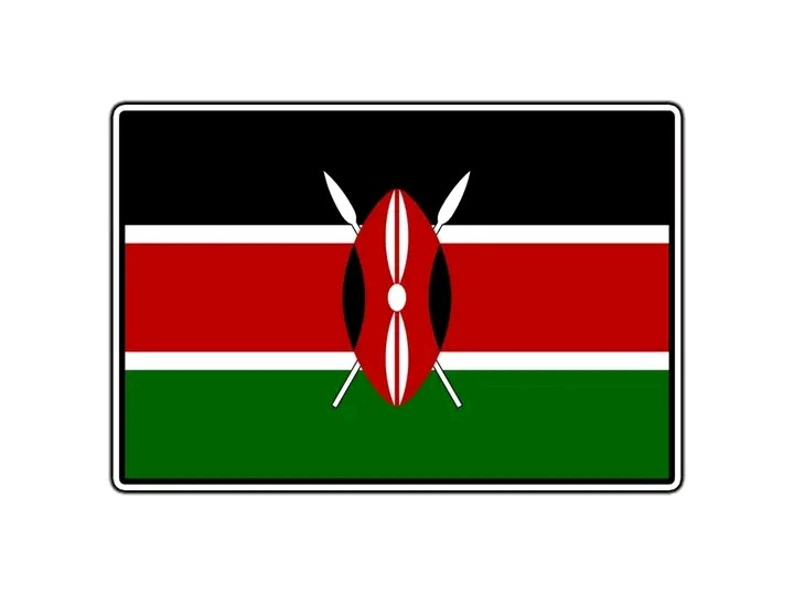Abducted South Sudanese Whistleblower Regains Freedom After Two Months in Secret Military Custody