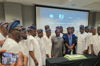 PHOTO STORY 1: Igbogbo Diaspora Celebrates Community Development in Houston, Texas