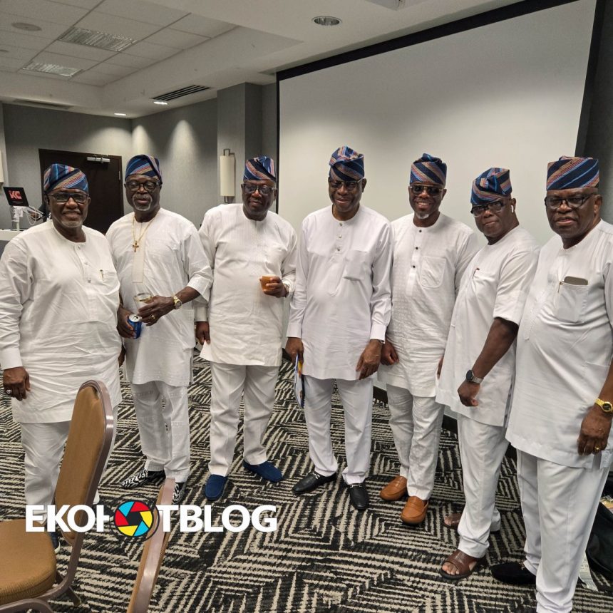 PHOTO STORY 2: Igbogbo Day Brings Diaspora Community Together in Houston, Texas