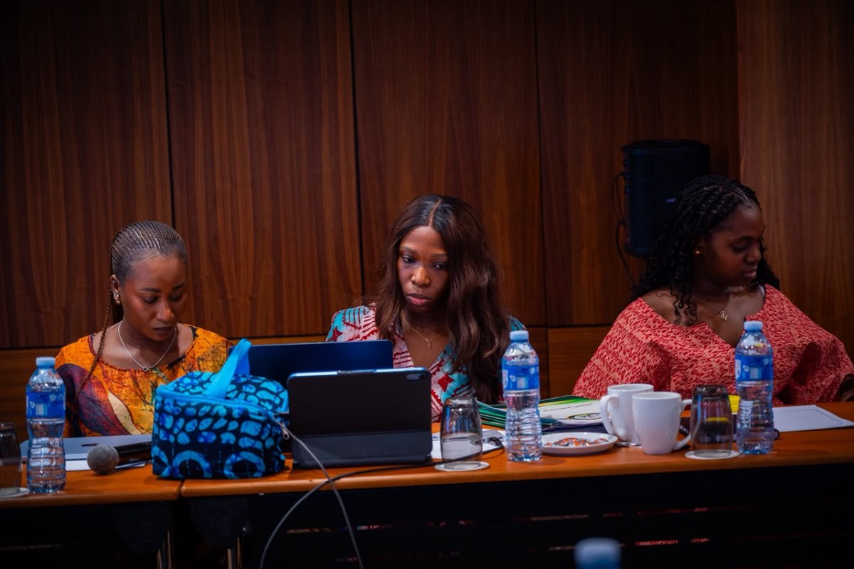 Alausa Reviews NESRI Progress, Sets Fresh Push for Outstanding Deliverables