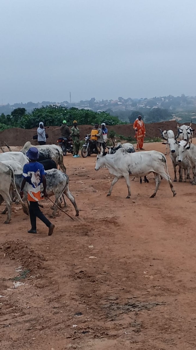 Ogbomoso Communities Issue 48-Hour Ultimatum to Herdsmen