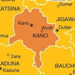 Diphtheria Outbreak: Over 50 Children Killed, Kano Seeks Federal Intervention