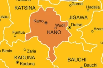 Diphtheria Outbreak: Over 50 Children Killed, Kano Seeks Federal Intervention
