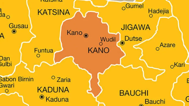Diphtheria Outbreak: Over 50 Children Killed, Kano Seeks Federal Intervention