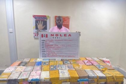 NDLEA Seizes 184.5kg Cocaine, Arrests Lagos Socialite At Airport