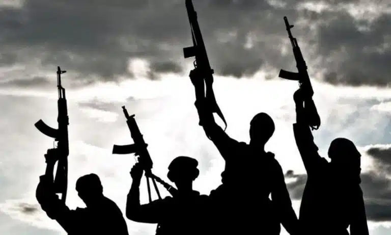 Tension In Niger As Bandits Eliminate Tinubu Minister’s Brother