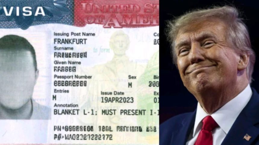 US Court Blocks Trump Visa Suspension Affecting Nigerians