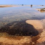 Russian Tanker Oil Spill Spreads Across 7.5 Miles of Oman’s Coastline