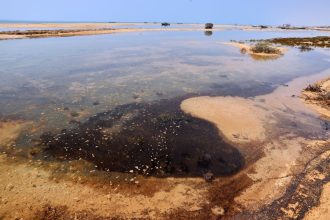 Russian Tanker Oil Spill Spreads Across 7.5 Miles of Oman’s Coastline