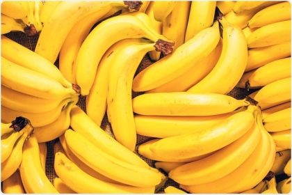 7 Foods That May Help Support Better Digestion