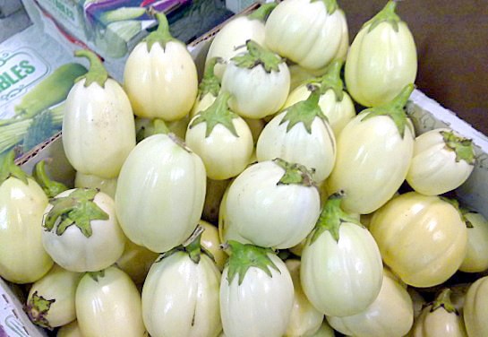 7 Health Benefits of Eating Garden Egg Regularly