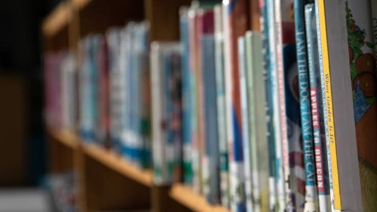 Lagos Targets More Accessible Libraries for Children, Young People