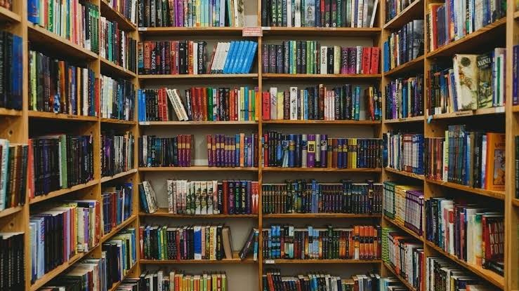 Lagos Targets More Accessible Libraries for Children, Young People