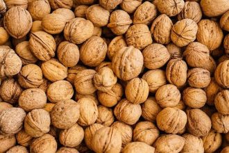 7 Foods That Support Prostate Health - Men Should Eat Often