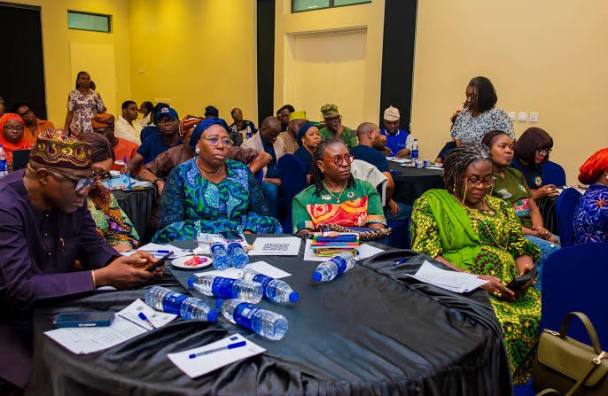 Lagos Trains SDG Champions On Data-Driven Development