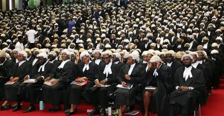 Full List Of 122 Approved Universities In Nigeria To Study Law
